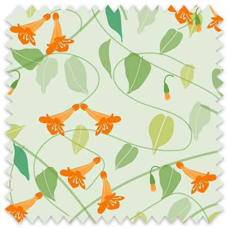 Random trumpet vine blossoms, leaves and vines